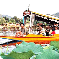 Services Provider of Jammu Kashmir Tours